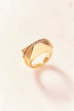 Ruifier 0.29ct Black Diamonds - Icon Shard Ring Gold