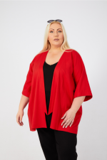 Fern Stretch Linen Jacket - Red